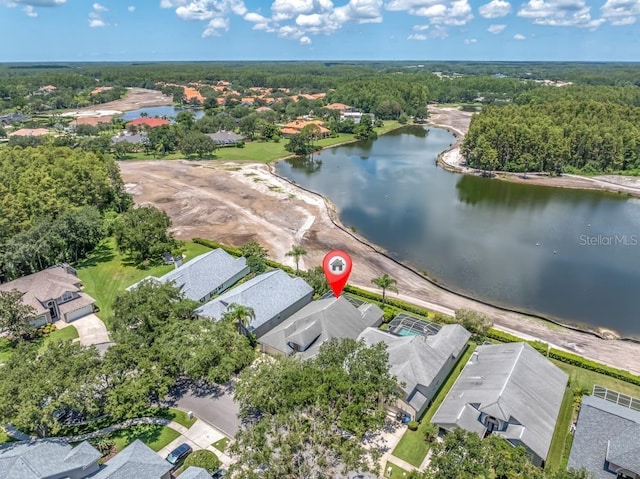18806 Rue Loire, Lutz, FL 33558 - photo 30