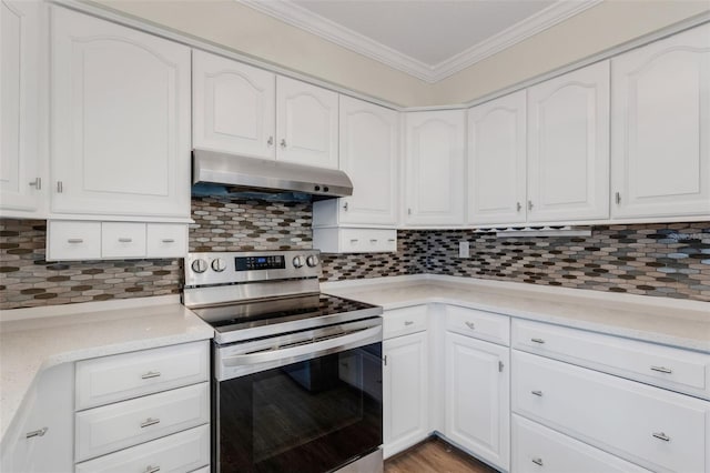 270 NE Boulevard N, Saint Petersburg, FL 33702 - photo 15