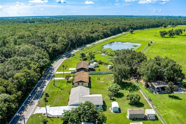 2719 N 91 Mine Rd, Bartow, FL 33830 - bird's eye view of a heavily wooded area and a nearby body of water