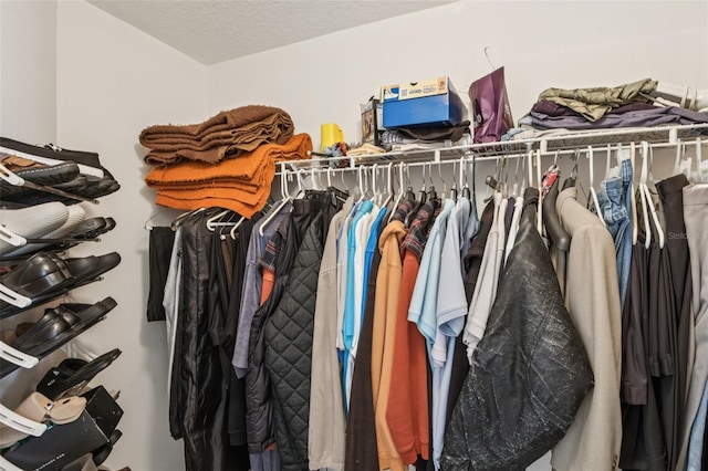 8704 Cypress Lakes Blvd, New Port Richey, FL 34653 - view of spacious closet