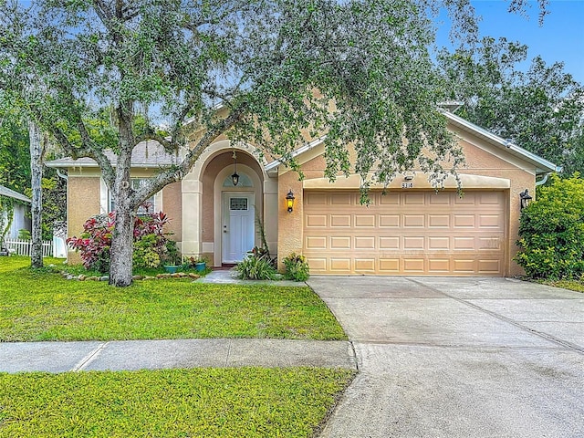 9314 Black Thorn Loop, Land O Lakes, FL 34638 - photo 1
