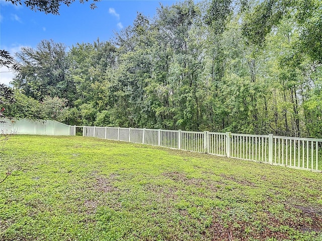 9314 Black Thorn Loop, Land O Lakes, FL 34638 - photo 34