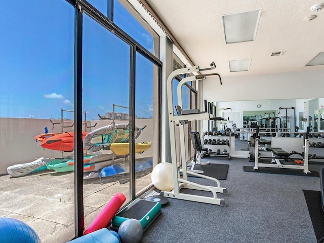 660 Island Way Unit 703, Clearwater Beach, FL 33767 - gym with healthy amount of natural light