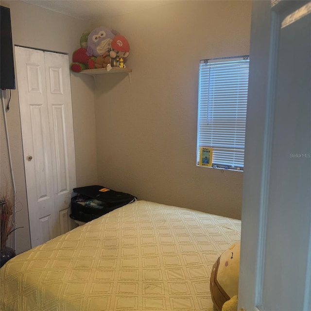 10004 Ethel St, Gibsonton, FL 33534 - bedroom featuring a closet