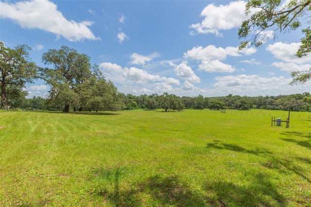 17380 Sweetwater Rd, Dade City, FL 33523 - photo 68