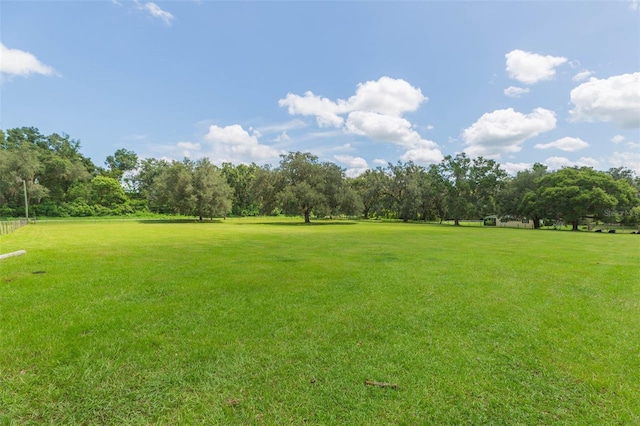17380 Sweetwater Rd, Dade City, FL 33523 - photo 65