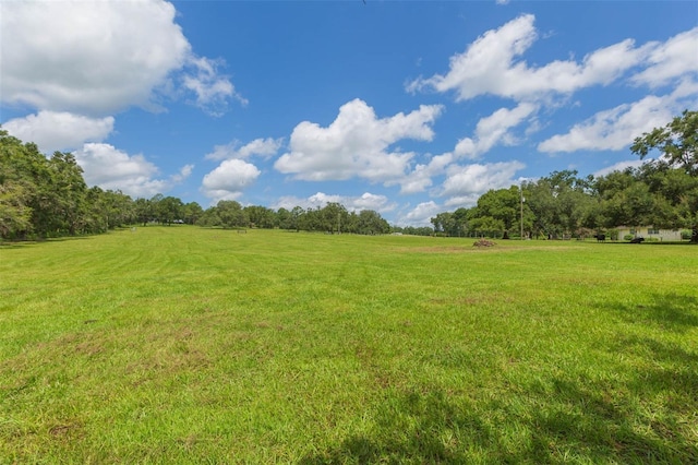 17380 Sweetwater Rd, Dade City, FL 33523 - photo 70