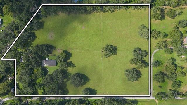 17380 Sweetwater Rd, Dade City, FL 33523 - photo 72