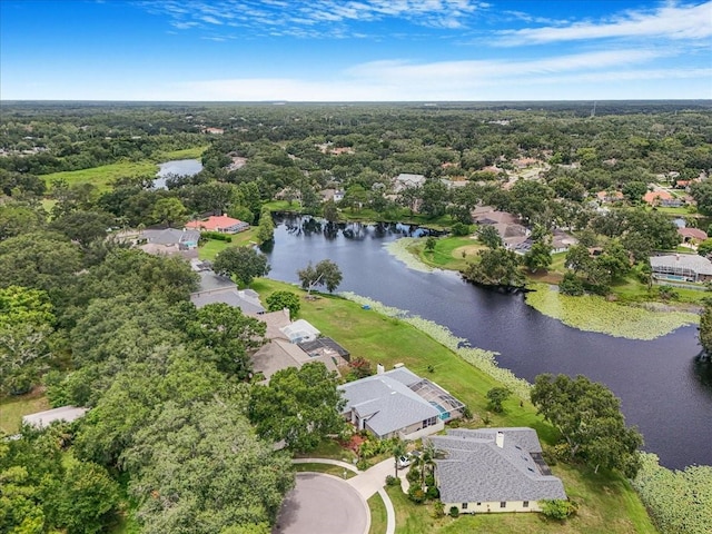 816 Sandringham Ln, Lutz, FL 33549 - aerial perspective of suburban area featuring a large body of water