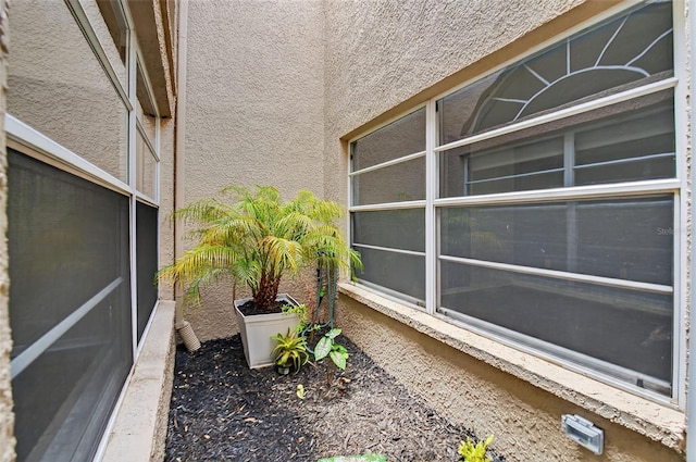3874 Darston St, Palm Harbor, FL 34685 - photo 27