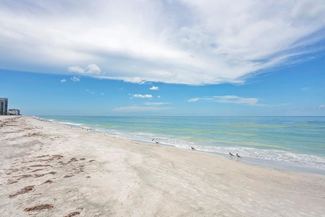 1340 Gulf Blvd Unit 10A, Clearwater, FL 33767 - photo 54