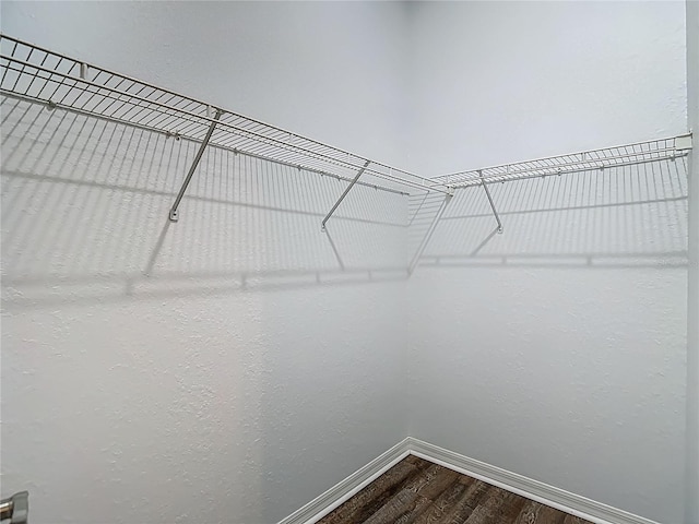 8303 Nightwalker Rd, Weeki Wachee, FL 34613 - walk in closet with dark wood finished floors
