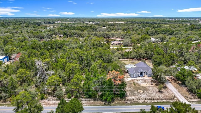 8303 Nightwalker Rd, Weeki Wachee, FL 34613 - bird's eye view of a heavily wooded area