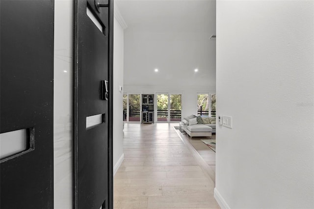 900 Oak Hollow Pl, Brandon, FL 33510 - hallway featuring light wood-type flooring and recessed lighting