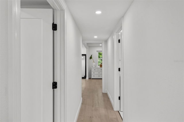 900 Oak Hollow Pl, Brandon, FL 33510 - hallway with light wood-style floors and recessed lighting