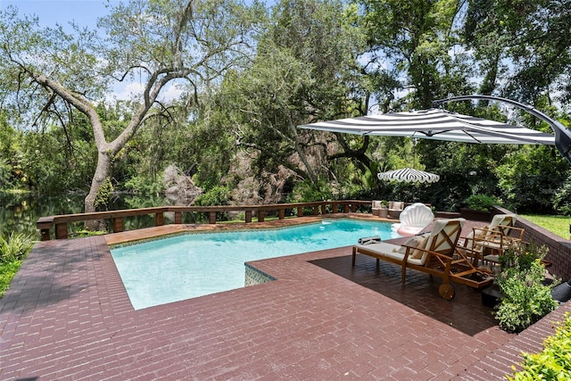 900 Oak Hollow Pl, Brandon, FL 33510 - outdoor pool featuring view of wooded area and a patio