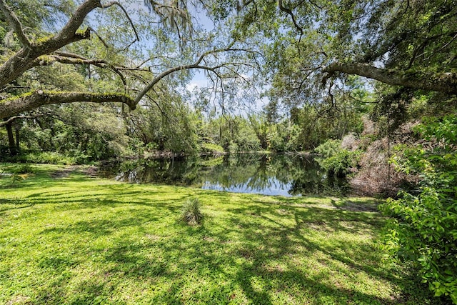 900 Oak Hollow Pl, Brandon, FL 33510 - view of grassy yard featuring a water view and a view of trees