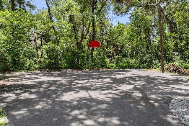 900 Oak Hollow Pl, Brandon, FL 33510 - view of street with a view of trees