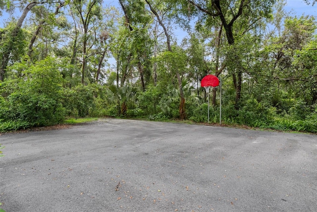 900 Oak Hollow Pl, Brandon, FL 33510 - view of asphalt road