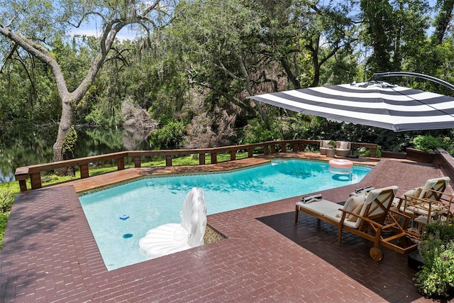 900 Oak Hollow Pl, Brandon, FL 33510 - view of outdoor pool