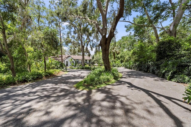 900 Oak Hollow Pl, Brandon, FL 33510 - view of asphalt driveway