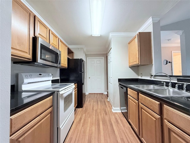 18369 Bridle Club Dr, Tampa, FL 33647 - photo 10