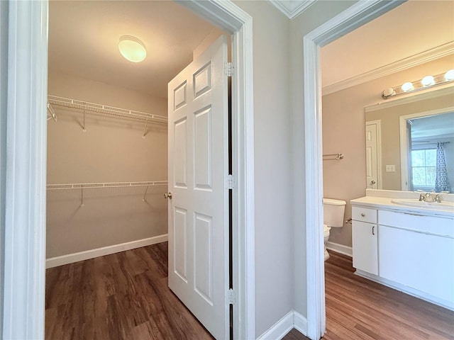 18369 Bridle Club Dr, Tampa, FL 33647 - photo 21