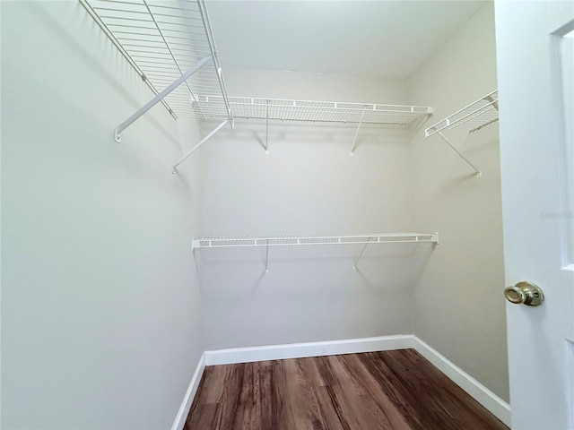18369 Bridle Club Dr, Tampa, FL 33647 - photo 22