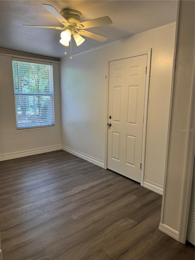 2065 N Betty Ln, Clearwater, FL 33755 - photo 50