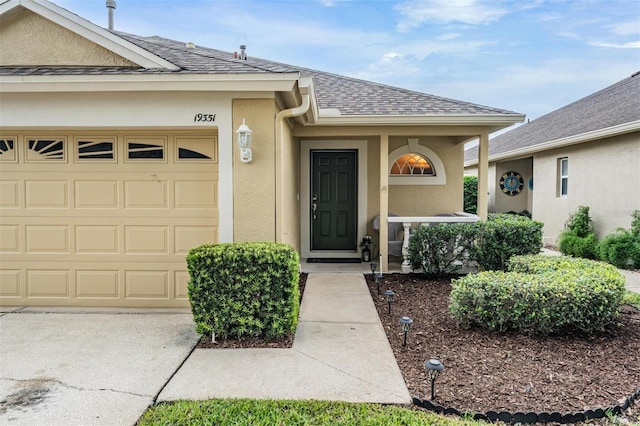 19351 Haskell Pl, Land O Lakes, FL 34638 - entrance to property with stucco siding, roof with shingles, a garage, and driveway