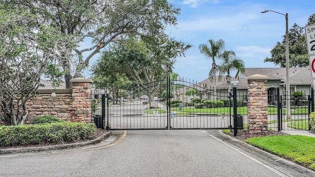 19351 Haskell Pl, Land O Lakes, FL 34638 - view of gate