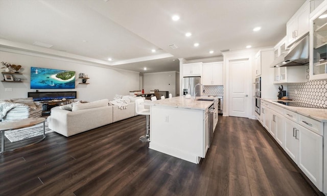 2516 Cobalt Shores Ln, Clearwater, FL 33761 - kitchen with open floor plan, decorative backsplash, under cabinet range hood, dark wood-style floors, and recessed lighting