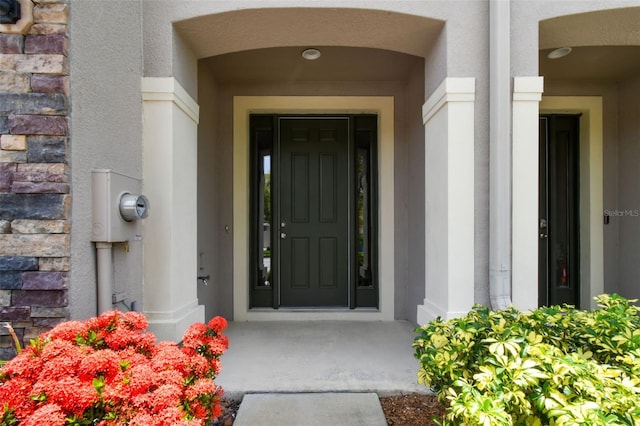 10409 Orchid Mist Ct, Riverview, FL 33578 - property entrance with stone siding