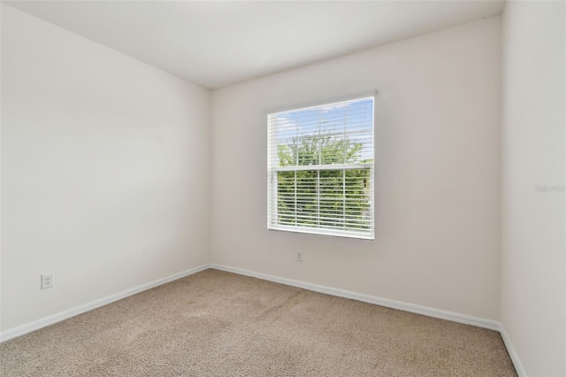 10409 Orchid Mist Ct, Riverview, FL 33578 - spare room with carpet