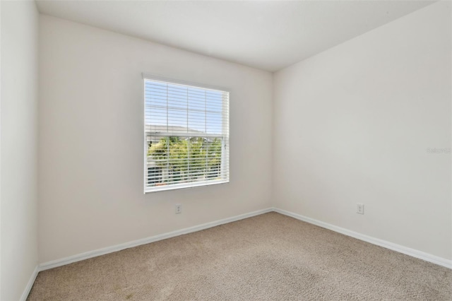 10409 Orchid Mist Ct, Riverview, FL 33578 - carpeted empty room with baseboards