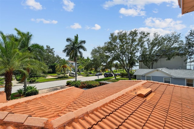 1020 Charles St, Clearwater, FL 33755 - view of yard