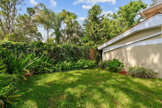 1020 Charles St, Clearwater, FL 33755 - view of grassy yard