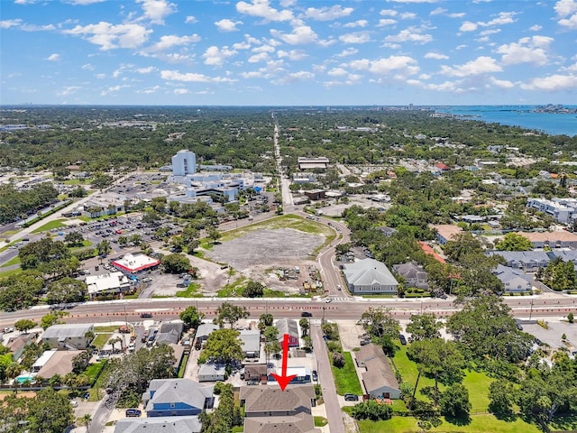 1012 Milwaukee Ave, Dunedin, FL 34698 - photo 5