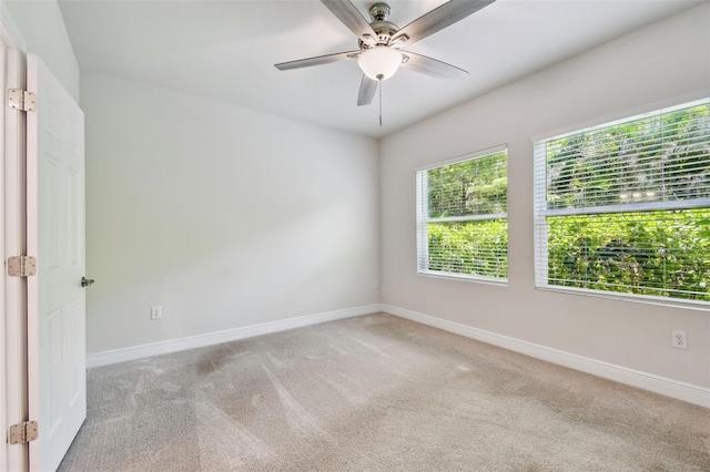 1012 Milwaukee Ave, Dunedin, FL 34698 - photo 43