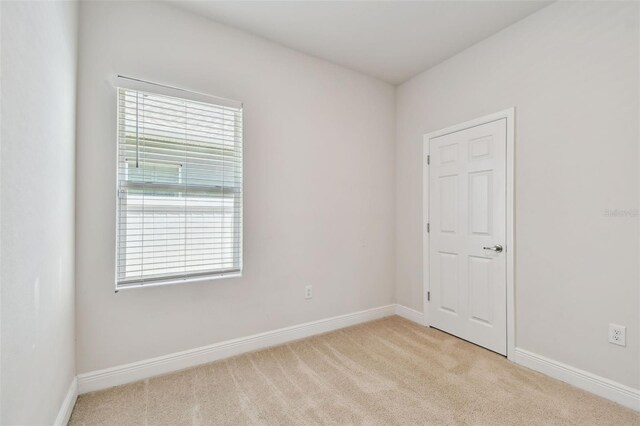 1012 Milwaukee Ave, Dunedin, FL 34698 - photo 52