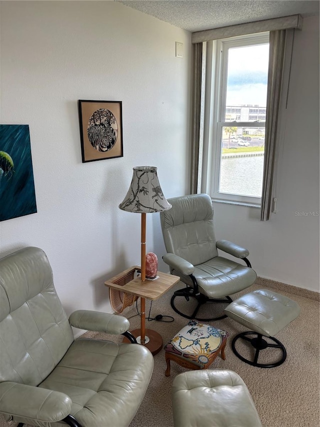 7401 Bay Island Dr S Unit 338, South Pasadena, FL 33707 - sitting room featuring carpet floors