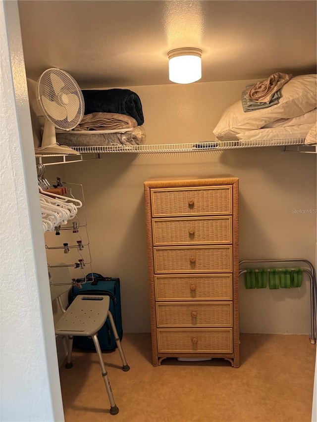 7401 Bay Island Dr S Unit 338, South Pasadena, FL 33707 - walk in closet featuring carpet floors