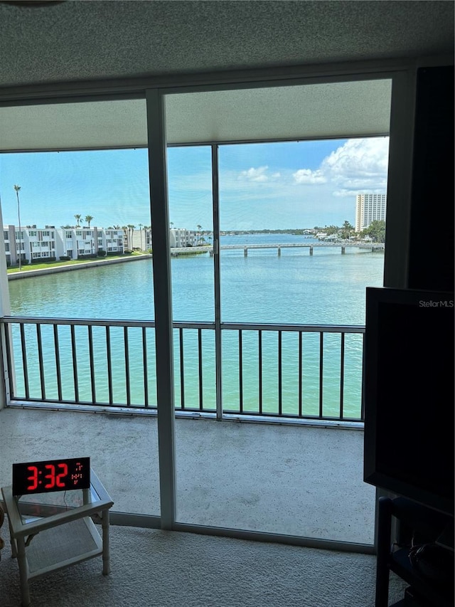 7401 Bay Island Dr S Unit 338, South Pasadena, FL 33707 - water view