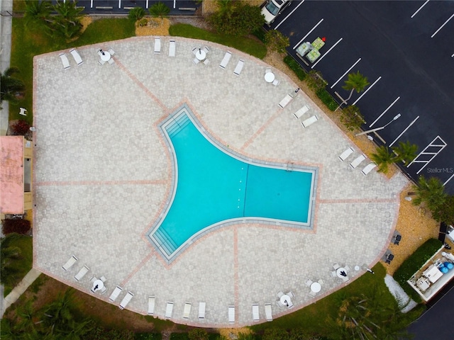 7401 Bay Island Dr S Unit 338, South Pasadena, FL 33707 - bird's eye view of a pool area