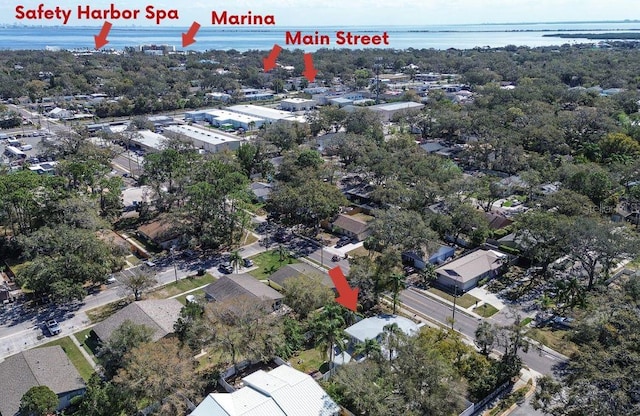 1111 Dr M L King Jr St N, Safety Harbor, FL 34695 - photo 33