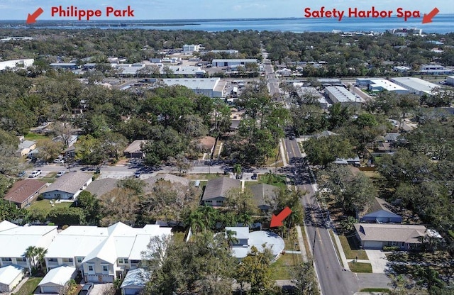 1111 Dr M L King Jr St N, Safety Harbor, FL 34695 - photo 34