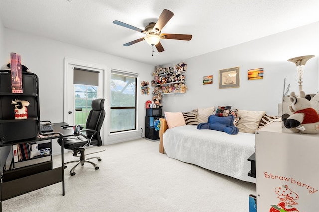 8497 Bardmoor Pl, Seminole, FL 33777 - photo 34