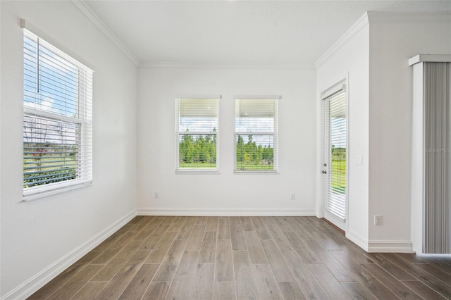 8820 Little Bluestem Dr, Land O Lakes, FL 34637 - photo 12