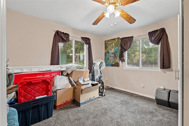 2526 26th St S, Saint Petersburg, FL 33712 - photo 7