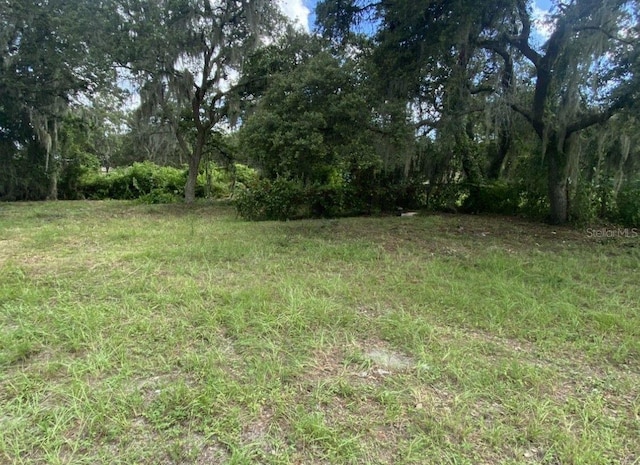 33128 Forest Ridge Rd, Deland, FL 32720 - photo 4